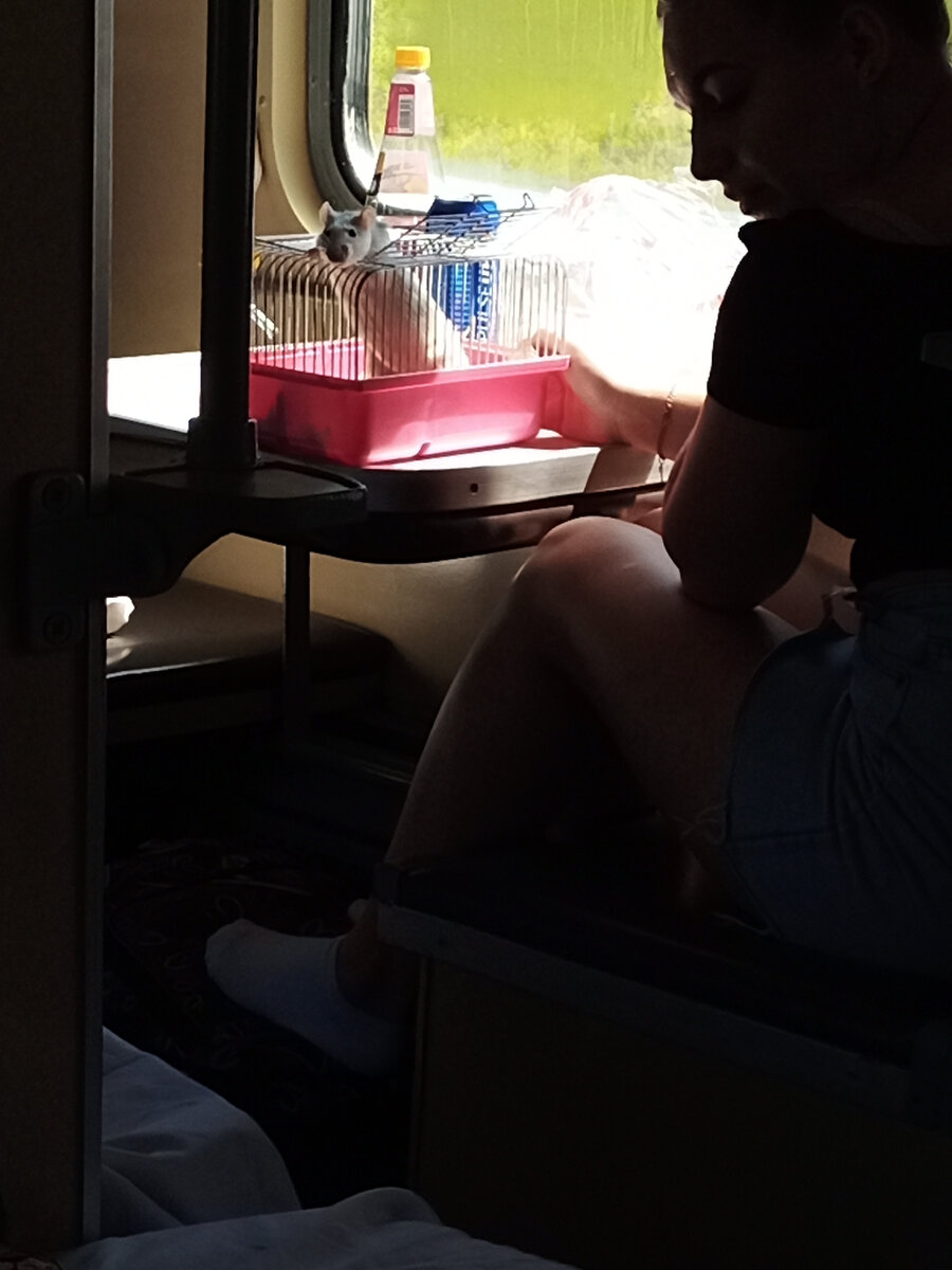 Фото автора