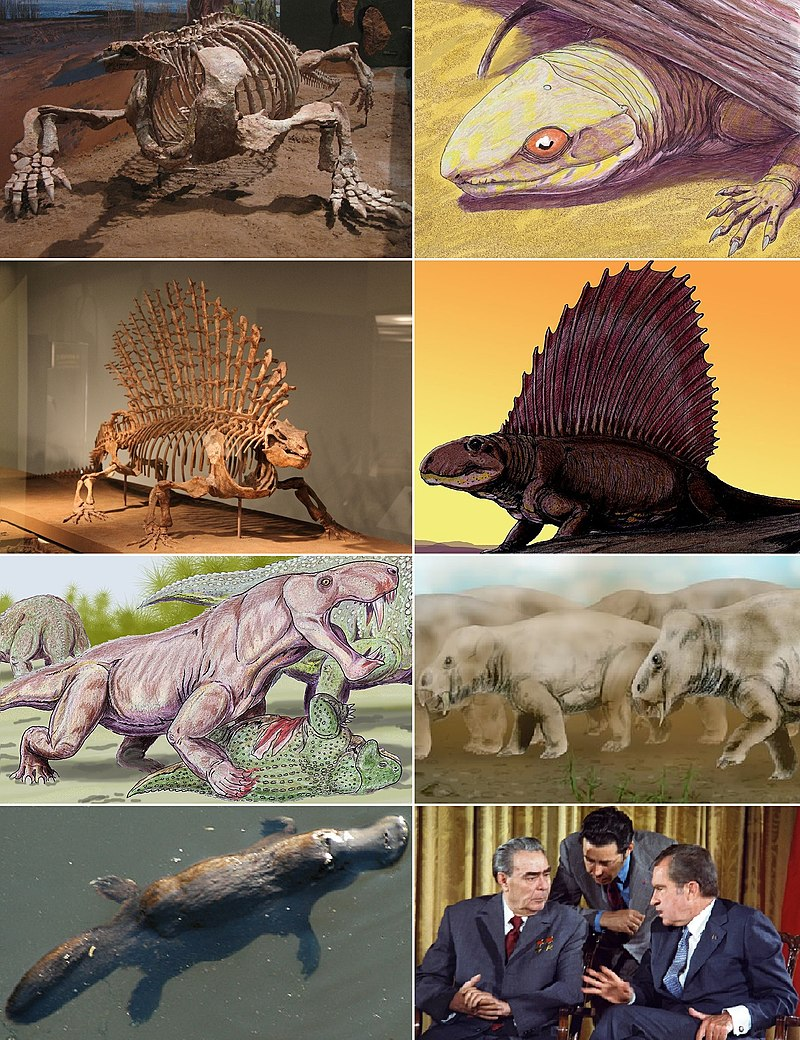 животные которые пропадут в 2025 году. животные которые исчезнут в 2025 году. Racing. фото животных которые исчезнут в 2025 году. жуткие вымершие животные.