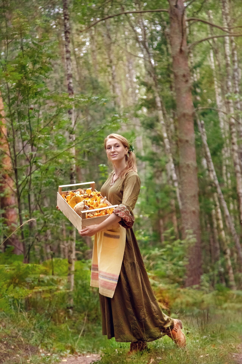 лисички- грибы/ фото автора .