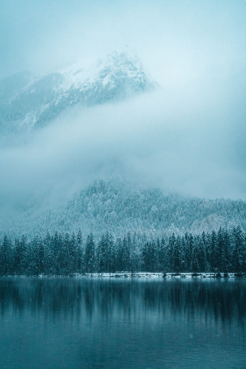 Фото автора Stijn Dijkstra: Pexels