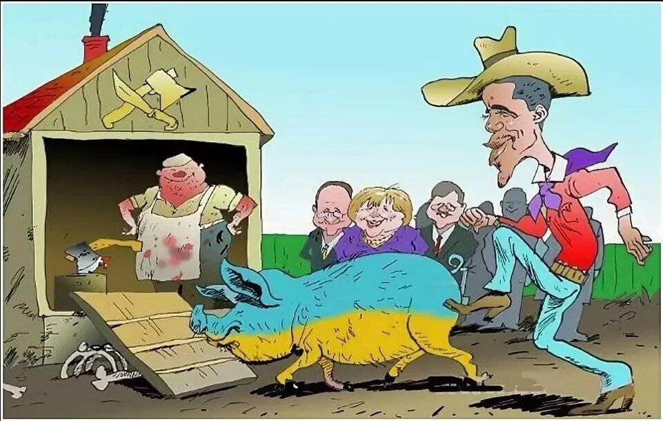 Изображение взято из открытых источников (yandex.ru)