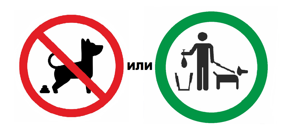 Запрет или Правило?!