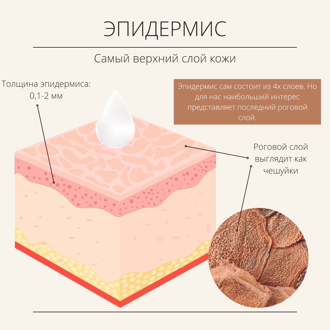 Чувствительность кожи. Сухость и стянутость кожи головы. Стянутость кожи на теле фото и описание для женщин.