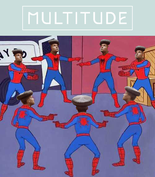 "multitude in a nutshell"