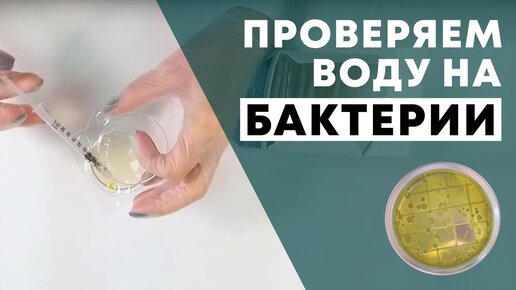 Как проверить минеральную или питьевую воду на бактерии?