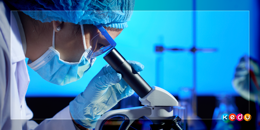 Designed by pressfoto/freepik