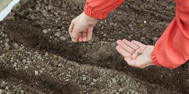 Фото: BearFotos / Shutterstock📷
