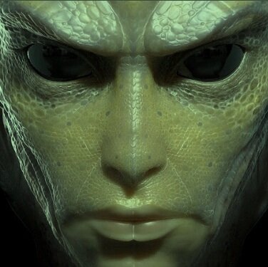 Фото из открытых источников. Все права на изображения принадлежат их авторам.