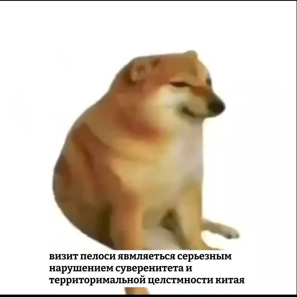 100 мемов собака с яблоком
