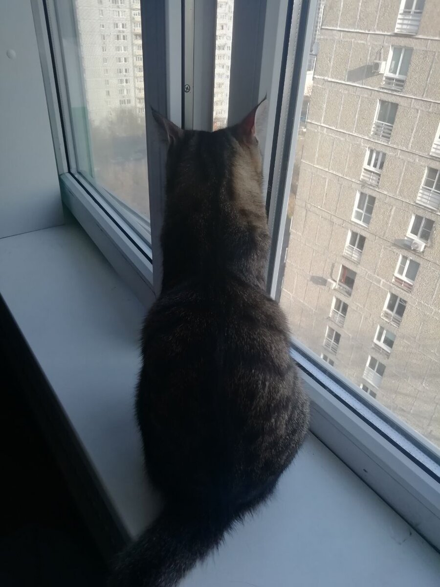 Ну вот как тут реагировать?