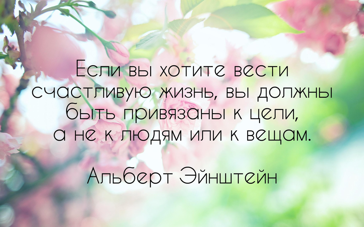 Если вам и этого мало. Счастливый человек цитаты. Быть счастливым цитаты. Цитаты про счастье. Я счастлива цитаты.