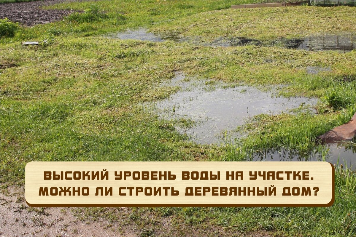 Высокий уровень воды на участке. Можно ли строить в таком случае деревянный  дом? | Массивдом Киров | Дзен