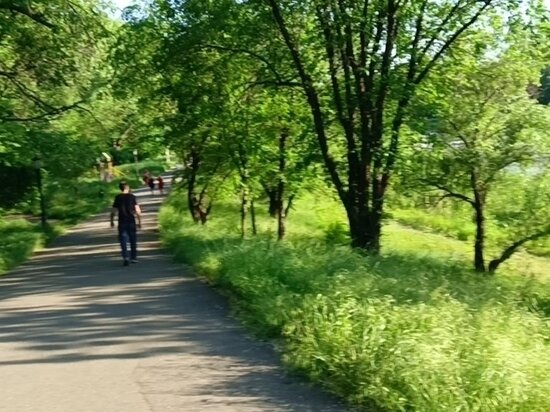     Берег пляжа в Невинномысске.Фото: Илья Котов