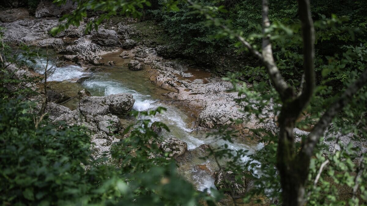   Река Курджипс в Гуамском ущелье в Краснодарском крае.© РИА Новости / Виталий Тимкив