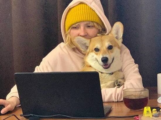     фото: МК в Туле, Владимир Коровин