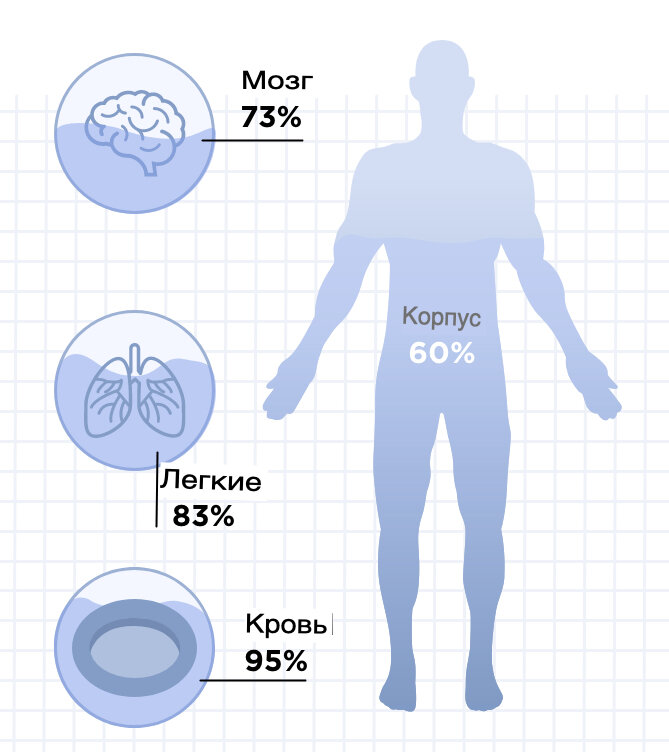 Тело содержать. How much Water in body. Total body Water. Percentage of Water. What is the percentage of Water in a Human body picture.