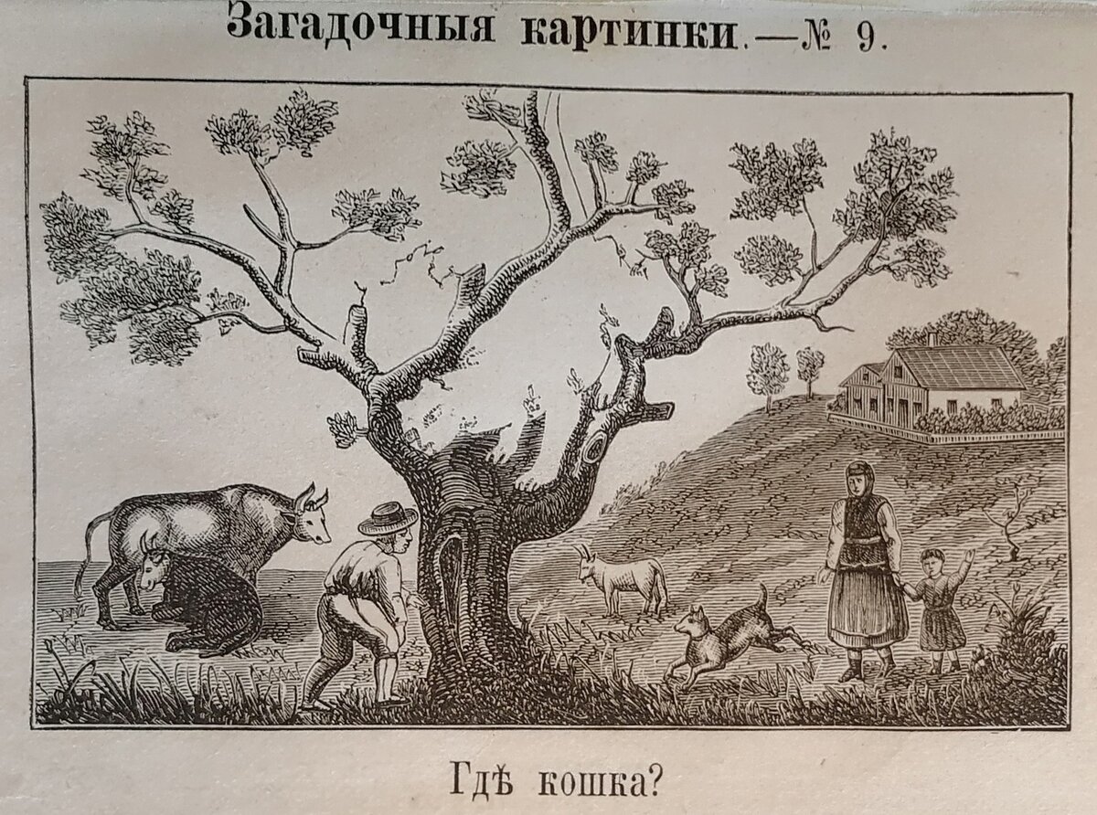 Начнем с простого. Отыщите кошку на картинке.