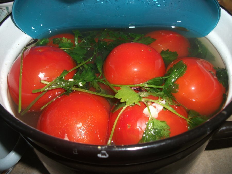 Самый простой рецепт помидор. Малосольные помидоры. Малосольные помидоры в ведре. Кастрюля помидор. Малосольные помидоры в кастрюле.