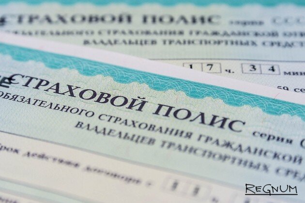    Полис ОСАГО Дарья Антонова © ИА REGNUM