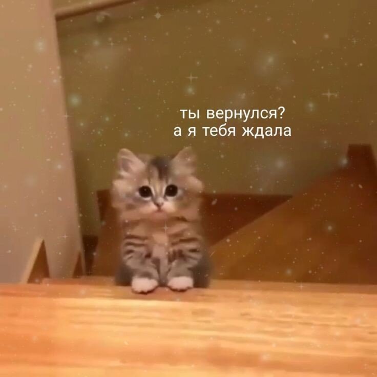 Надеюсь, что среди читателей есть постояшки💖