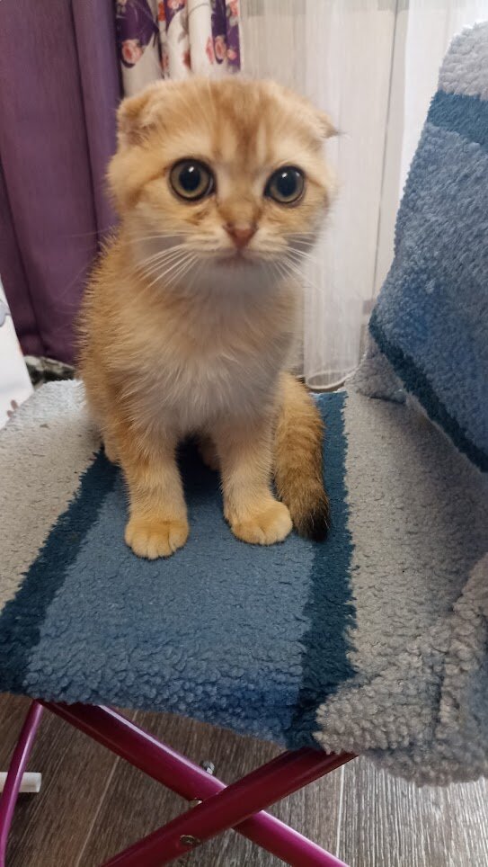 Глазища какие большие,как большие бусы.