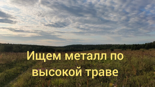 Ищем металл по высокой траве