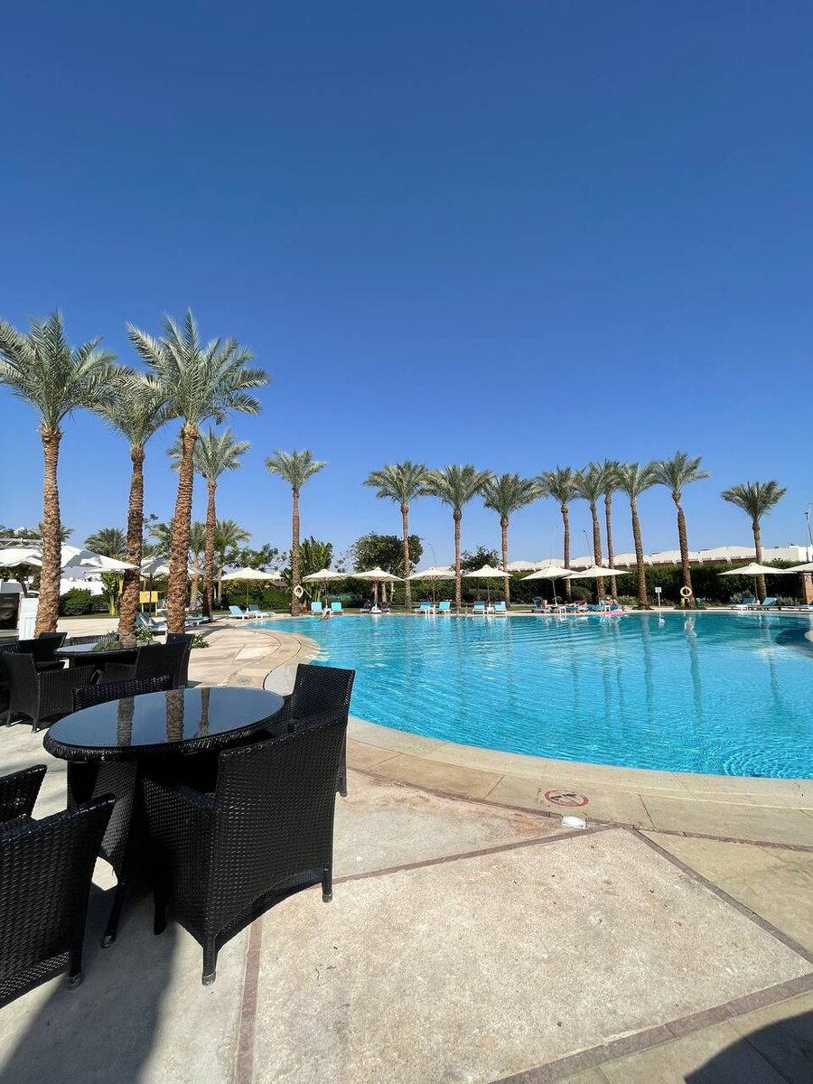 Club reef 4 египет шарм-эль-шейх. Charmillion gardens aqua park (ex. Отель рэдиссон шарм эль шейх египет. Sea garden) 5* (набк). Марса алам, эль кусейр.