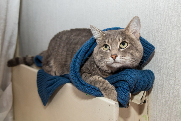    Фото Андрея Заржецкого