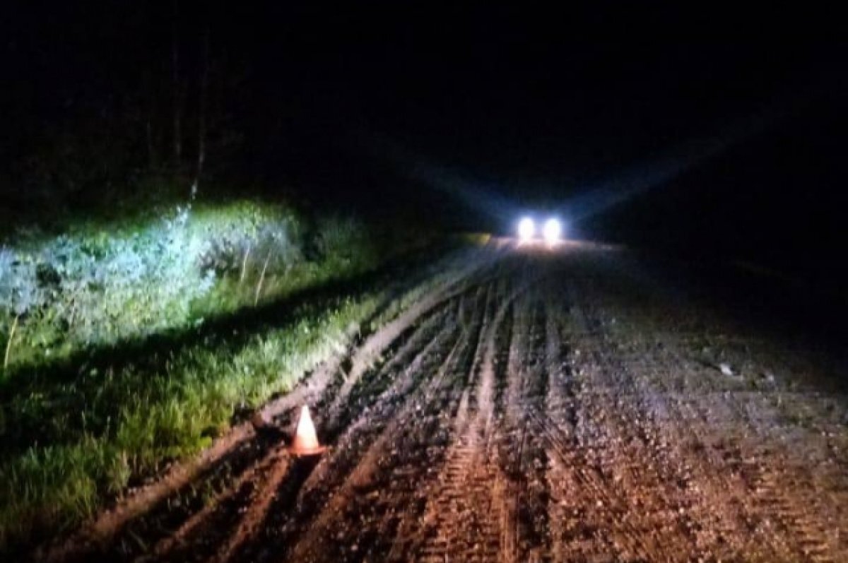    В Томской области в результате ДТП погиб 9-летний ребенок