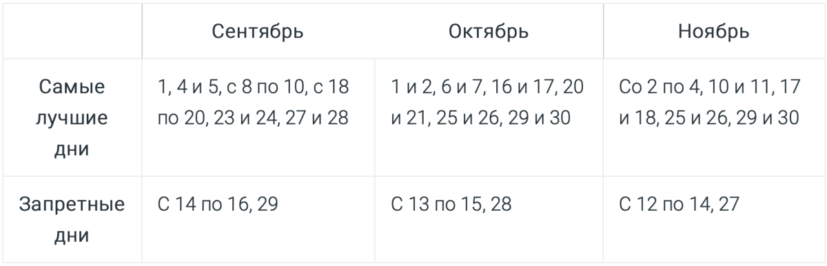 Рассказываем, можно ли высаживать клубнику осенью и как правильно определить сроки посадки ягодника. Большому урожаю сладких ароматных ягод садовой земляники рады все.-4