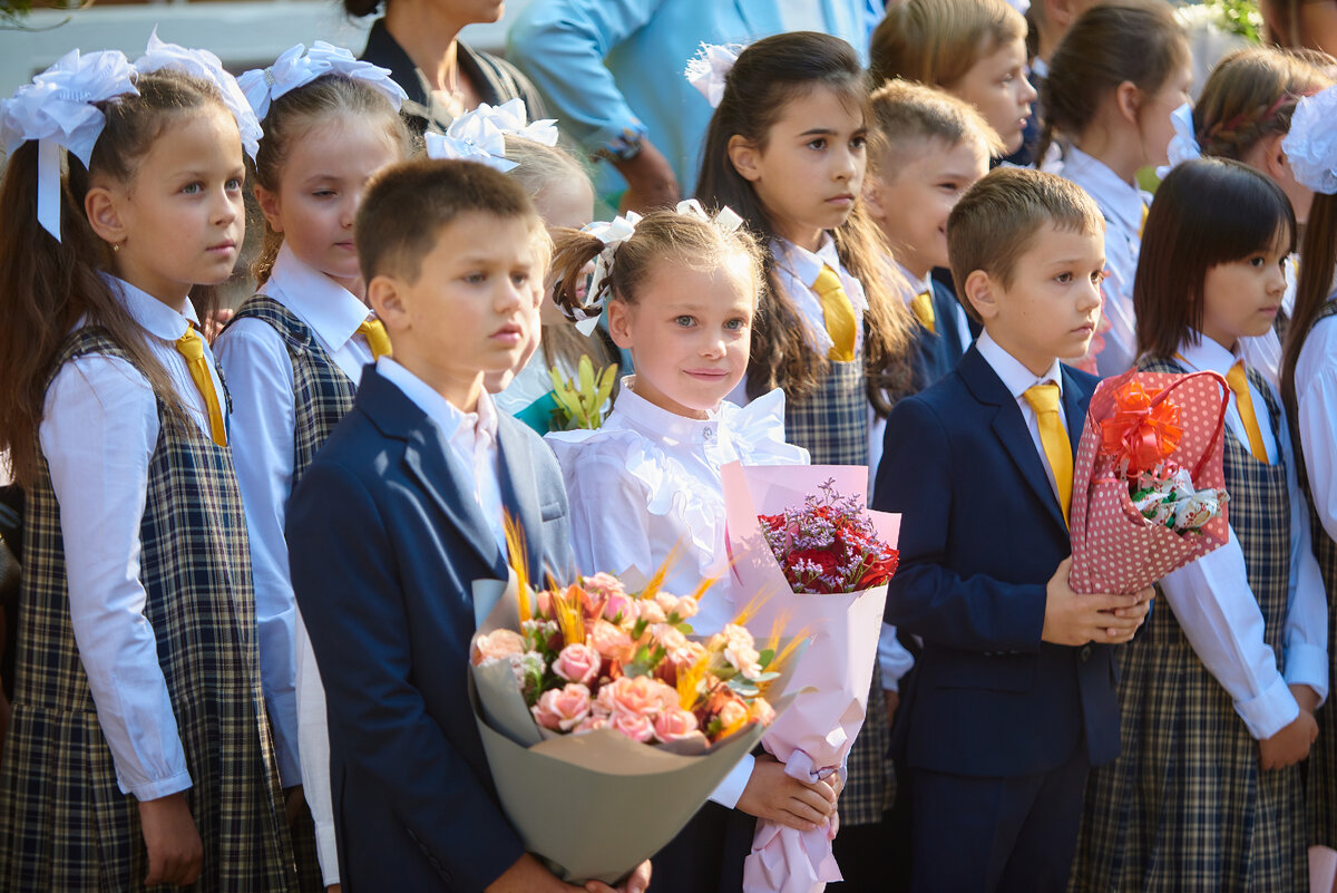 «Золотой стандарт» знаний. Что это такое и для чего его ввели в школах ...