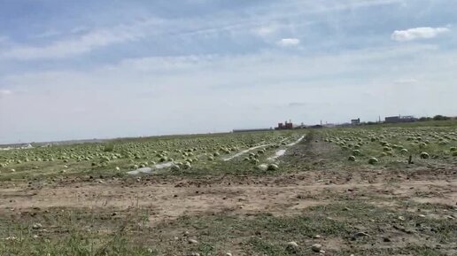 Порно видео знакомства новопавловск