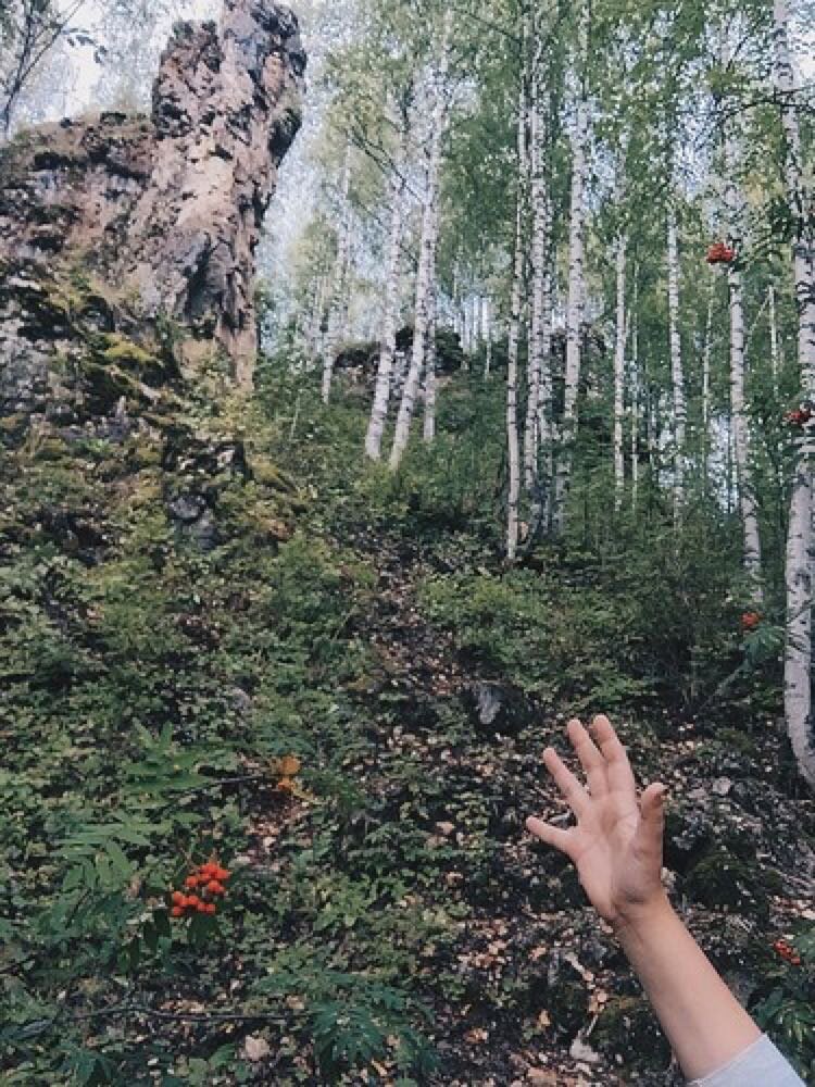 Окрестности поселка Седью и древние рифы