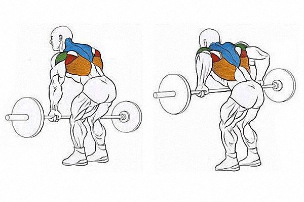 Тренажеры для мышц спины