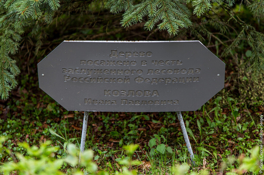 Селиваново белгородская область. Головеньки Тульская область. Селиваново Тульская область. Селиваново Смоленская область. Проект Селиваново.