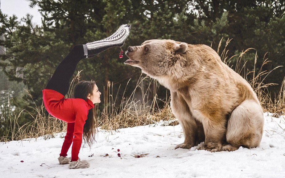 Стефани Миллингер. Стефани Миллингер гимнастка. Стефани Миллингер фото. Фотосессия с медведем.