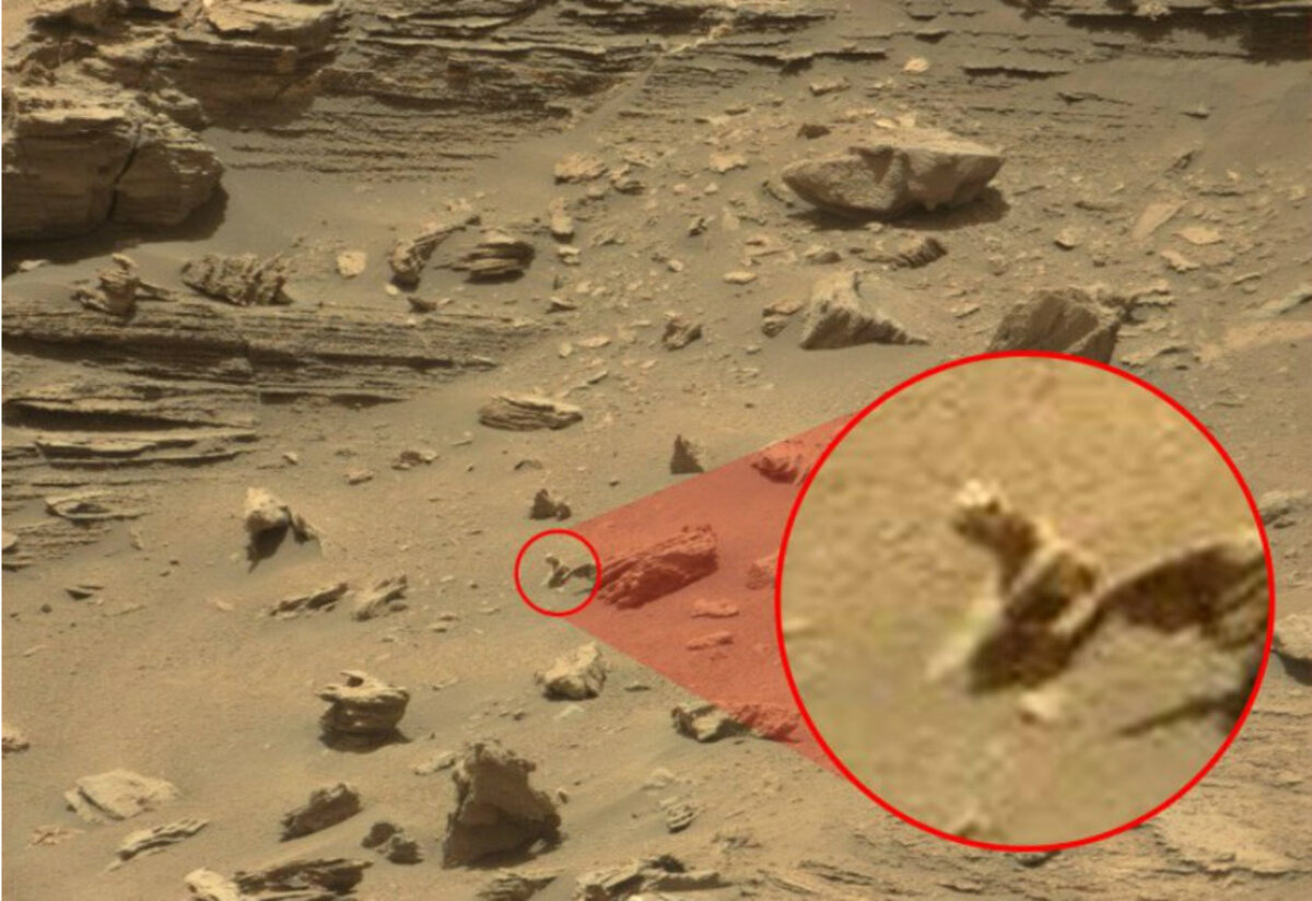 Кто живет на марсе. Скотт Уоринг пирамида. Снимки Марса Скотт Уоринг. Планета Марс и марсиане.