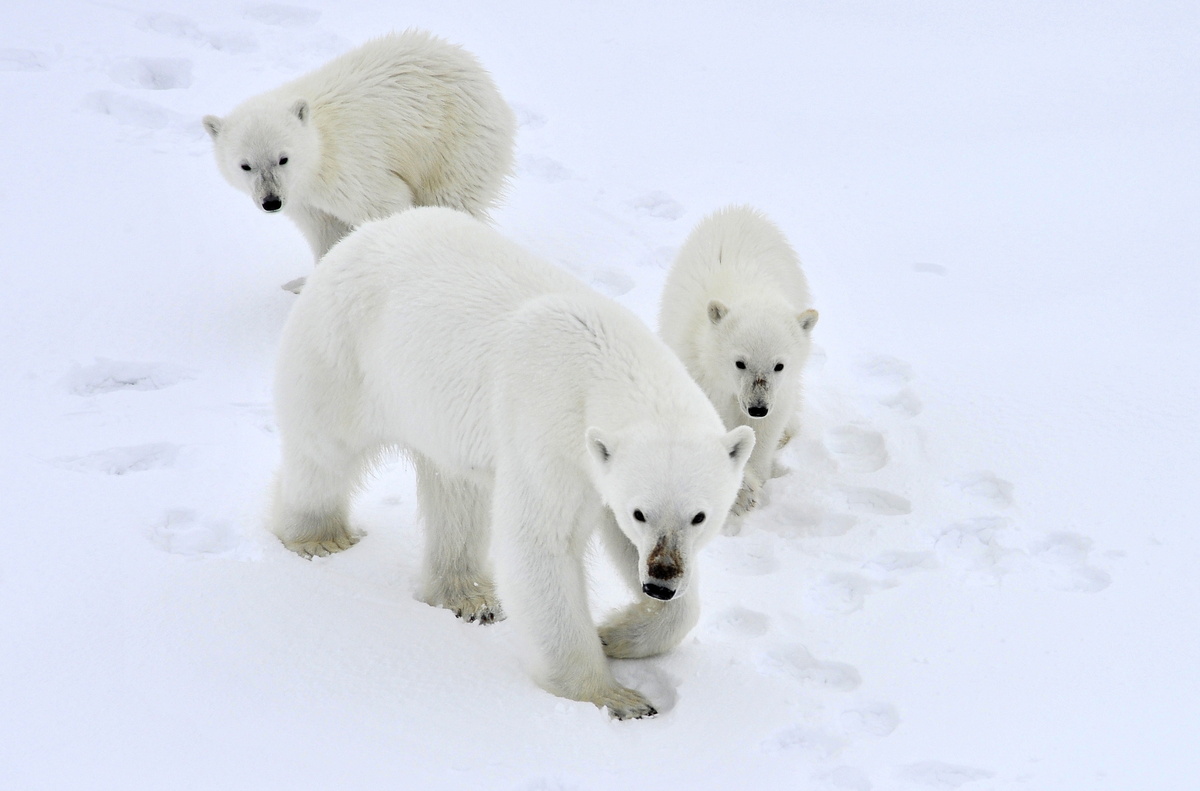 Лев Федосеев/ТАСС