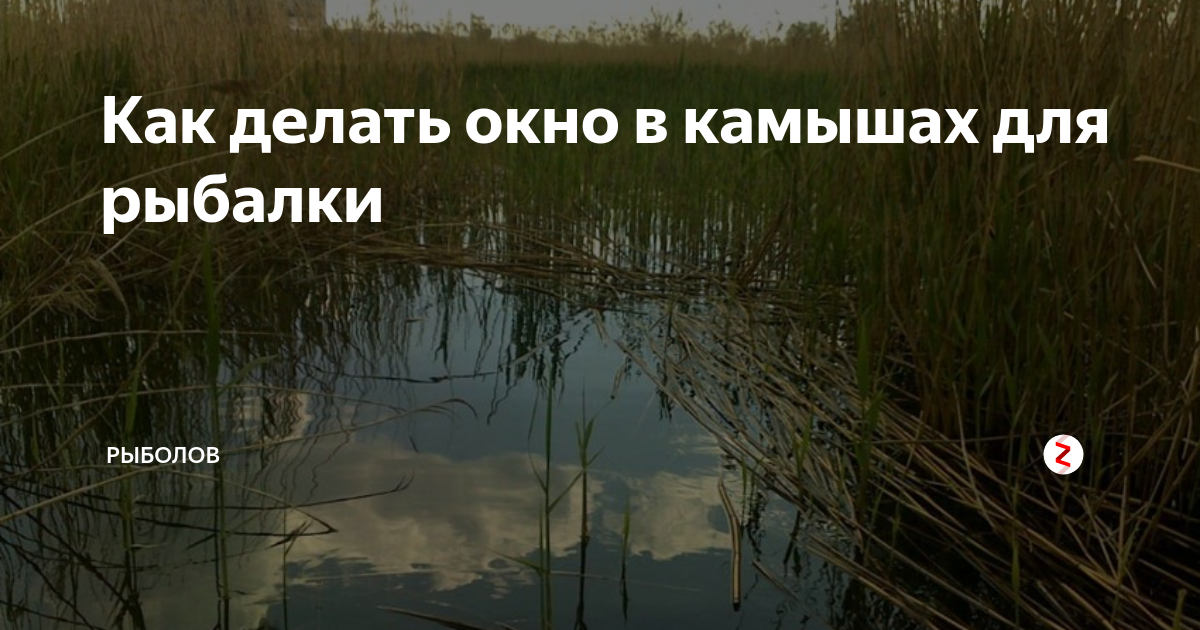 Как сделать окно в камышах