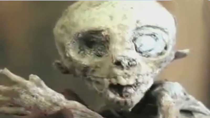 Прошли четыре года о контакте не сообщают, зато ученные взялись, за исследование трупа пришельца. Внешне находка напоминает как ребенка человека, так и детеныша обезьян. В пользу того, что находка мутант свидетельствует сильное сходство с находками палеонтологов. Вывод об инопланетном происхождении пришельца основывается на анализе ДНК. ДНК инопланетянина имеет сходство с человеческим ДНК и ДНК ящерицы. Ученным пока неизвестны земные виды с таким набором хромосом.