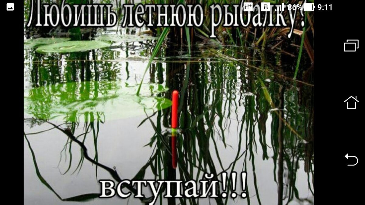 Любишь летнюю рыбалку 👍👍👍