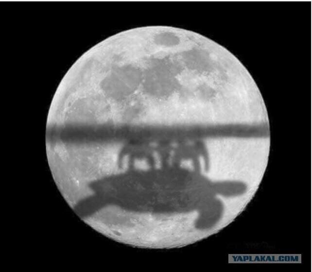 Настоящие лунное затмение. А то что мы видим - это голограмма!