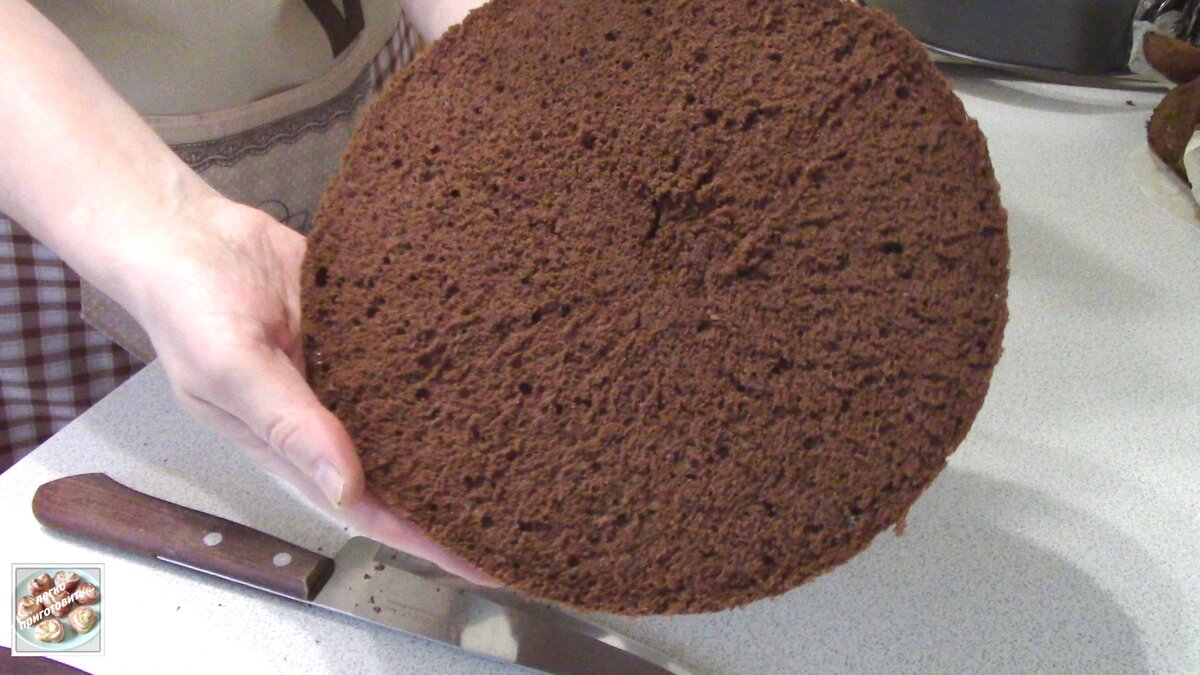 Шоколадный бисквит на яйцах. Шоколадный бисквит в разрезе. Шоколадный шифоновый бисквит. Плотный бисквит для торта. Шоколадный бисквит технология приготовления.