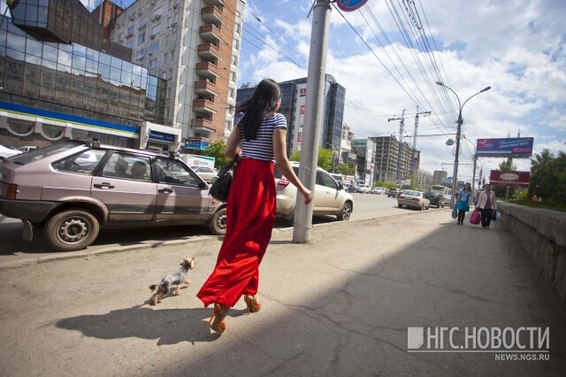В первый летний день будет до +23 градусов