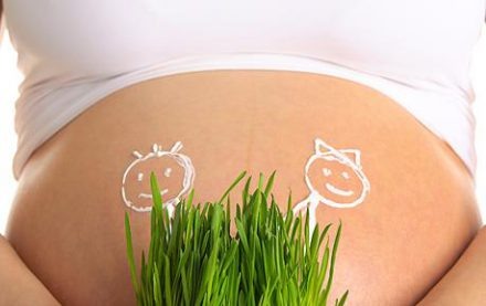 В народе известен целый ряд признаков, позволяющих предугадать половую принадлежность отпрысков еще до наступления зачатия. Однако мало кто воспринимает их всерьез и изучает досконально, ведь факта наступления беременности еще нет, тогда зачем мучить себя догадками раньше времени?
 
 Период беременности – самое подходящее время для поиска информации о том, как узнать пол ребенка: народные приметы и предсказания, календари зачатия, результаты ультразвуковой диагностики, гадания и предвидения экстрасенсов – вот лишь неполный перечень способов, позволяющих ответить на волнующий вопрос.