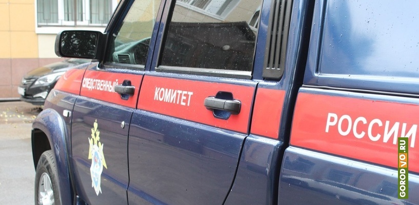  Подозреваемый задержан в Подмосковье и водворен в череповецкий СИЗО.