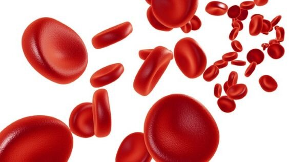 фото: www.everydayhealth.com