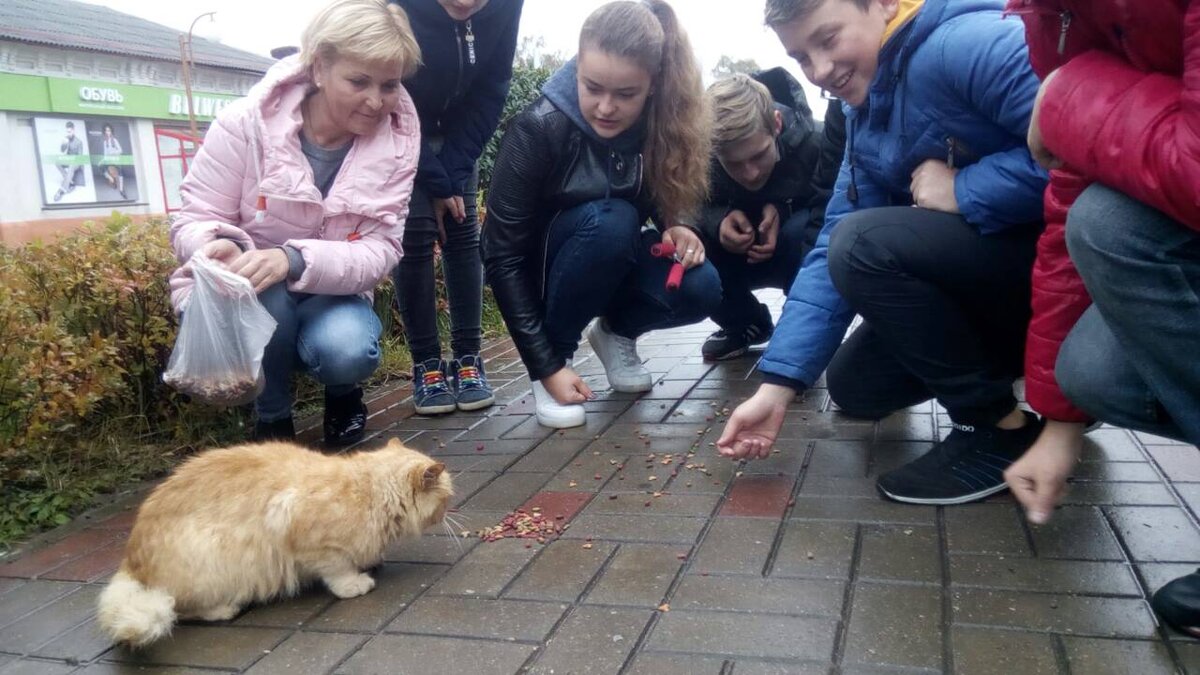 Дети и взрослые кормят уличного кота