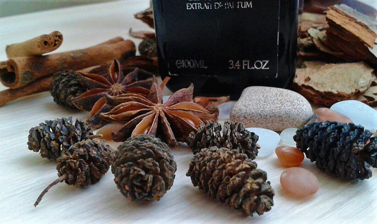 весенние ароматы для женщин. холодная кожа в парфюмерии. холодная кожа в парфюмерии. девушка с духами. холодная и горячая кожа как определить.