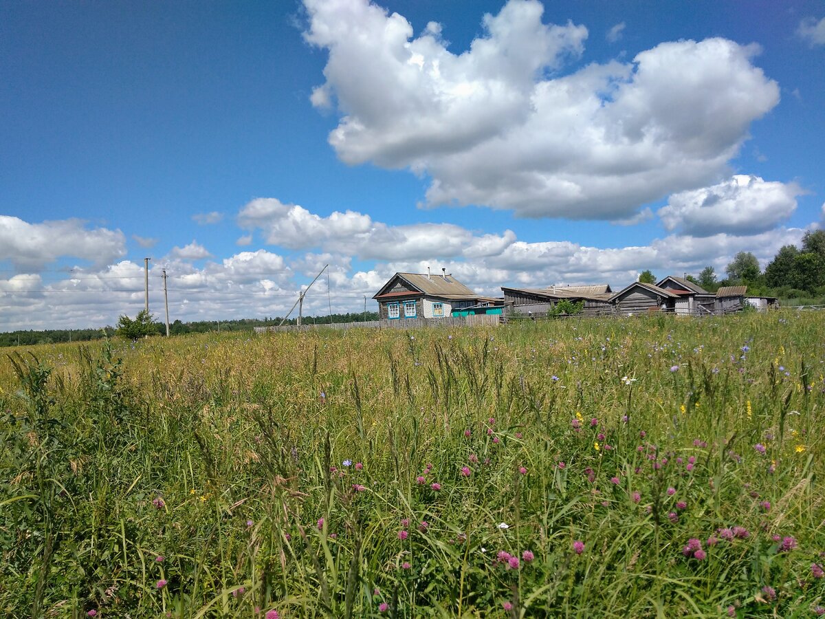 Ульяновская область мелекесский. Поселок Дружба Ульяновская область Ульяновский район. Тинарка Мелекесский район Ульяновская область. Мелекесский райсуд Ульяновской.